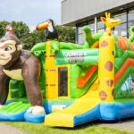 multiplay-safari-1_2_orig